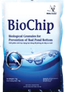 BioChip