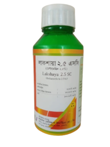 Lakshaya 2.5 Flow