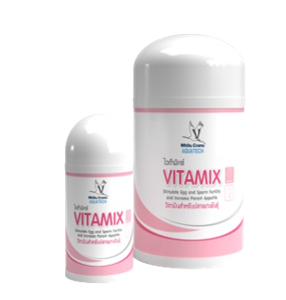 VITAMIX